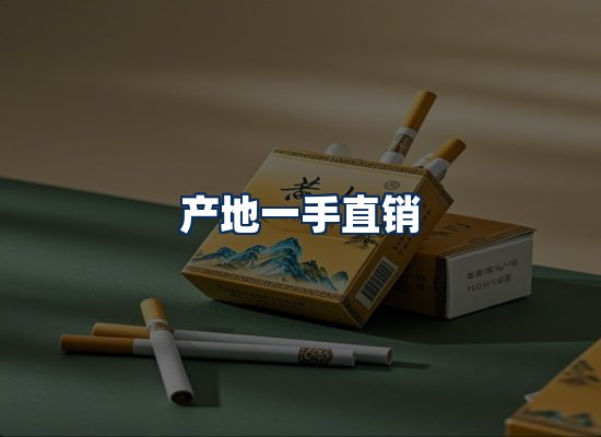 专业团队办公环境